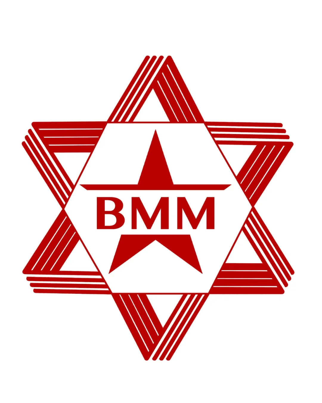 BINTANG MAS MOTOR logo